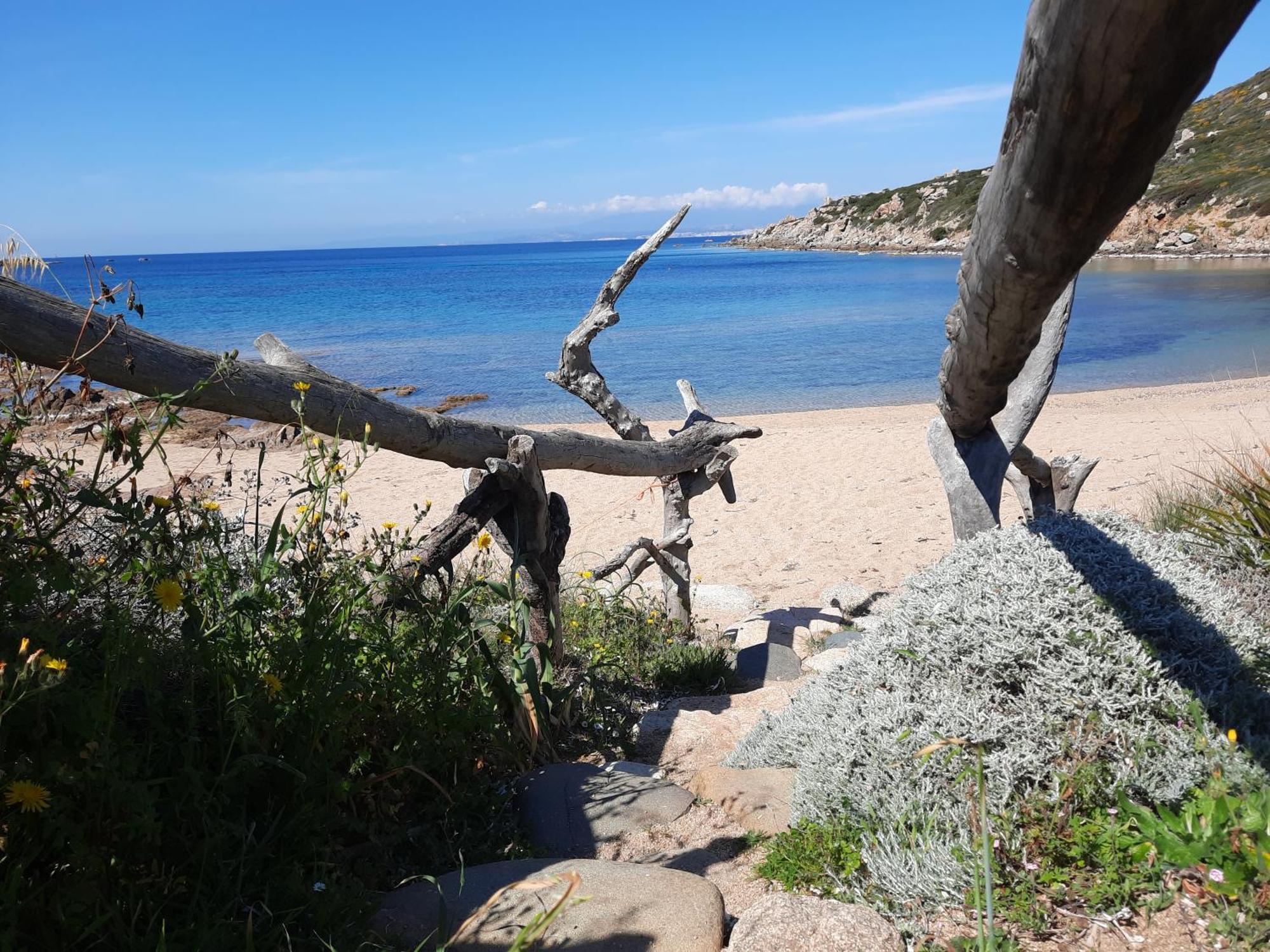 Le Residenze Desideri Di Gallura 산타테레사의갈루라 객실 사진